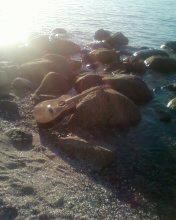 guitar-beach