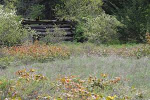 10855060_10152847161395893_6184203524613031837_o