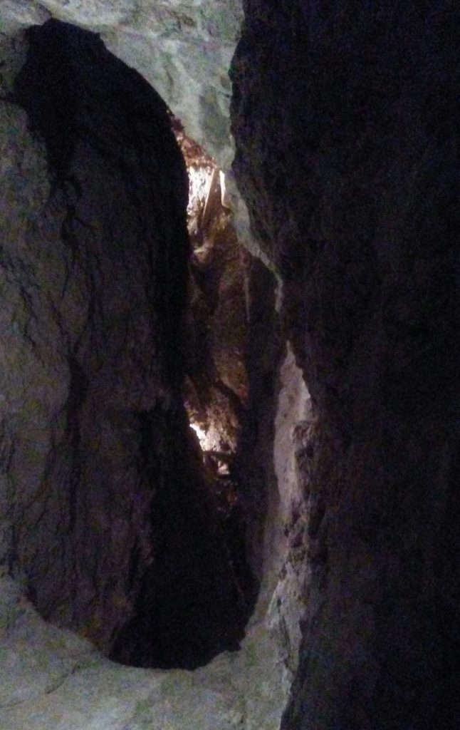 20160612_125052_resized