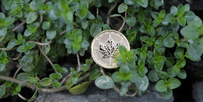 3 Min. Gold News – Jim Rickards – Gold – RT – June 15,&nbsp;2016