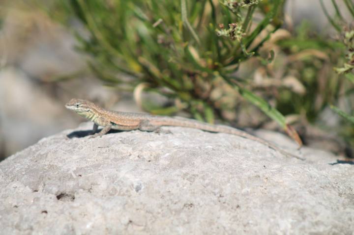 13603302_10153748276760893_326886269412432328_o