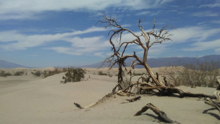 3 Minute Gold News – Michael Lewis – Wall Street Has Not Been Fixed – Oct. 17,&nbsp;2016