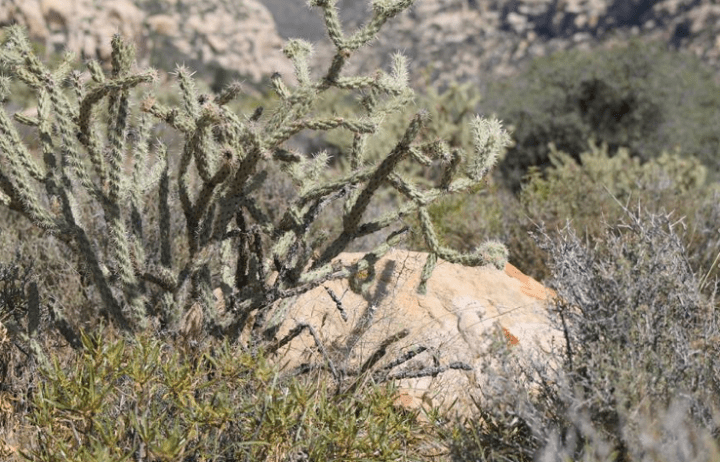 Screen Shot 2016-07-05 at 1.03.12 PM