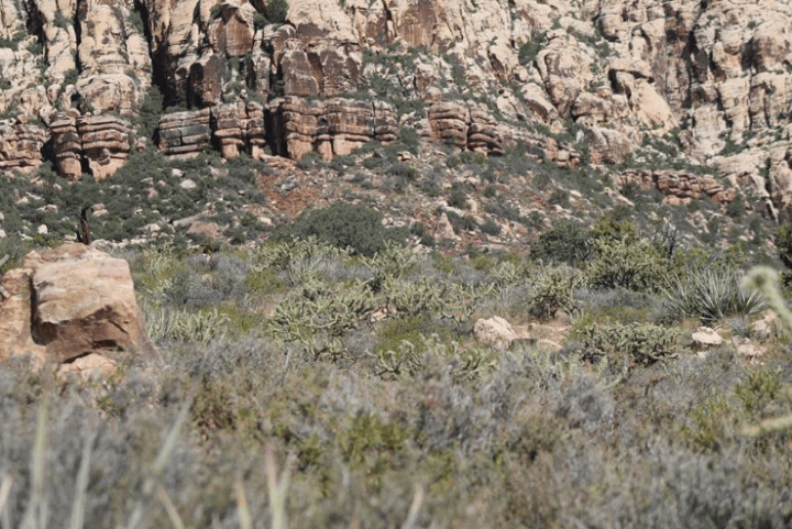 Screen Shot 2016-07-05 at 1.03.27 PM