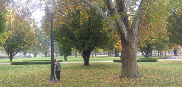 screen-shot-2016-11-08-at-12-14-36-pm