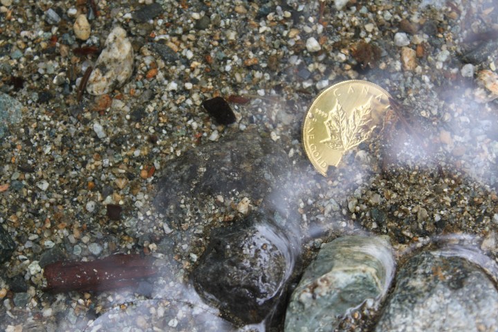 Gold in the Wild photo series. © Elaine Diane Taylor