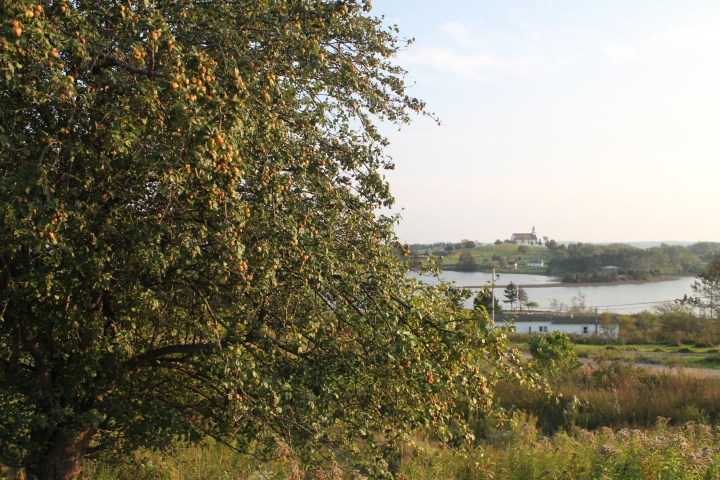 Cape Breton Island 2017