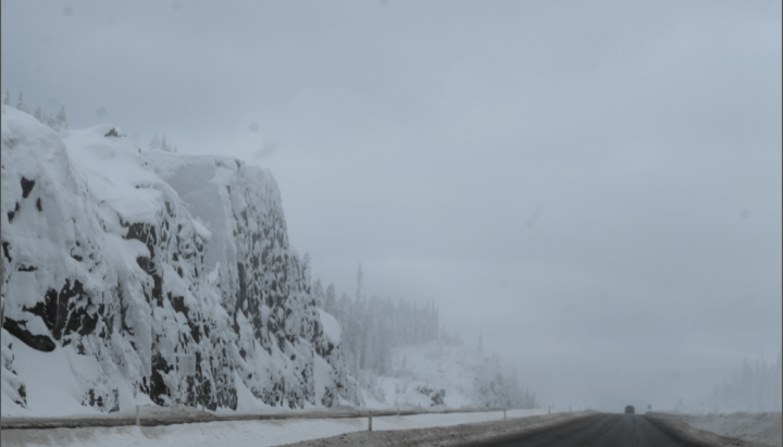 Screen Shot 2018-12-24 at 11.44.10 AM.png