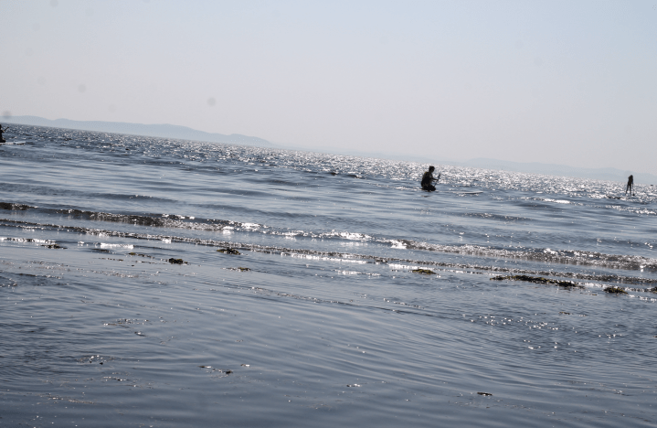 The Sound of Money&nbsp;Dying