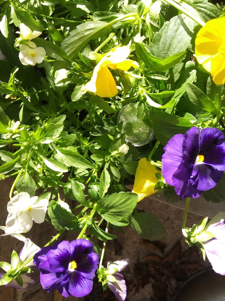 3 Min. Gold News – Money and&nbsp;Mind