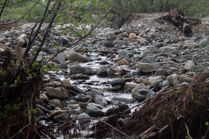 3 Minute Gold News – Synopsis of Jim Rickards with Hedgeye – January&nbsp;2021