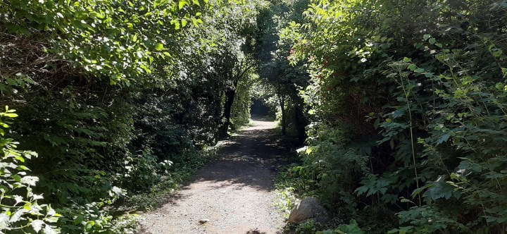 3 Minute Gold News –  BIS Tells Us How it’s Going – July 5,&nbsp;2024